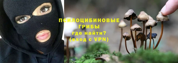 стаф Богданович