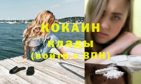 стаф Богданович