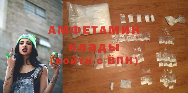 молекула духа Богородск
