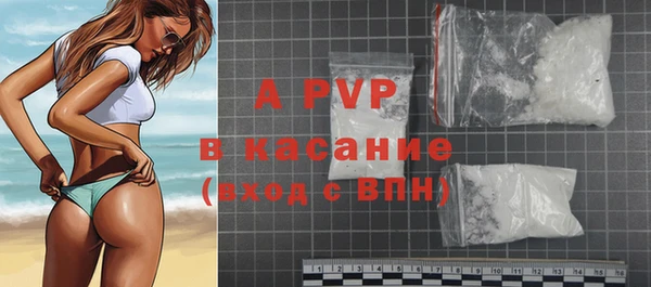 стаф Богданович